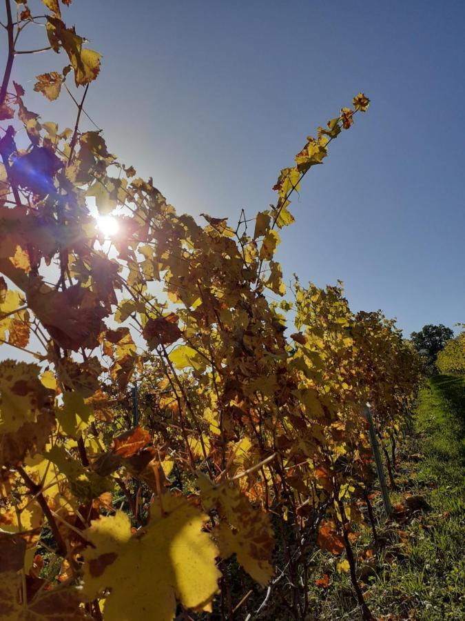 Tenuta Grimaldi Wine Resort Мателика Экстерьер фото