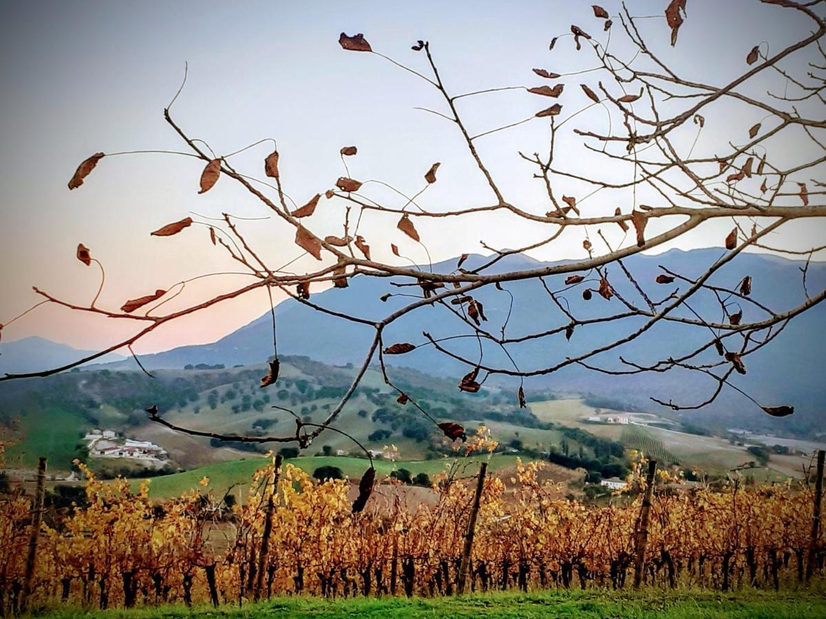 Tenuta Grimaldi Wine Resort Мателика Экстерьер фото